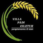 vila padi ciletuh